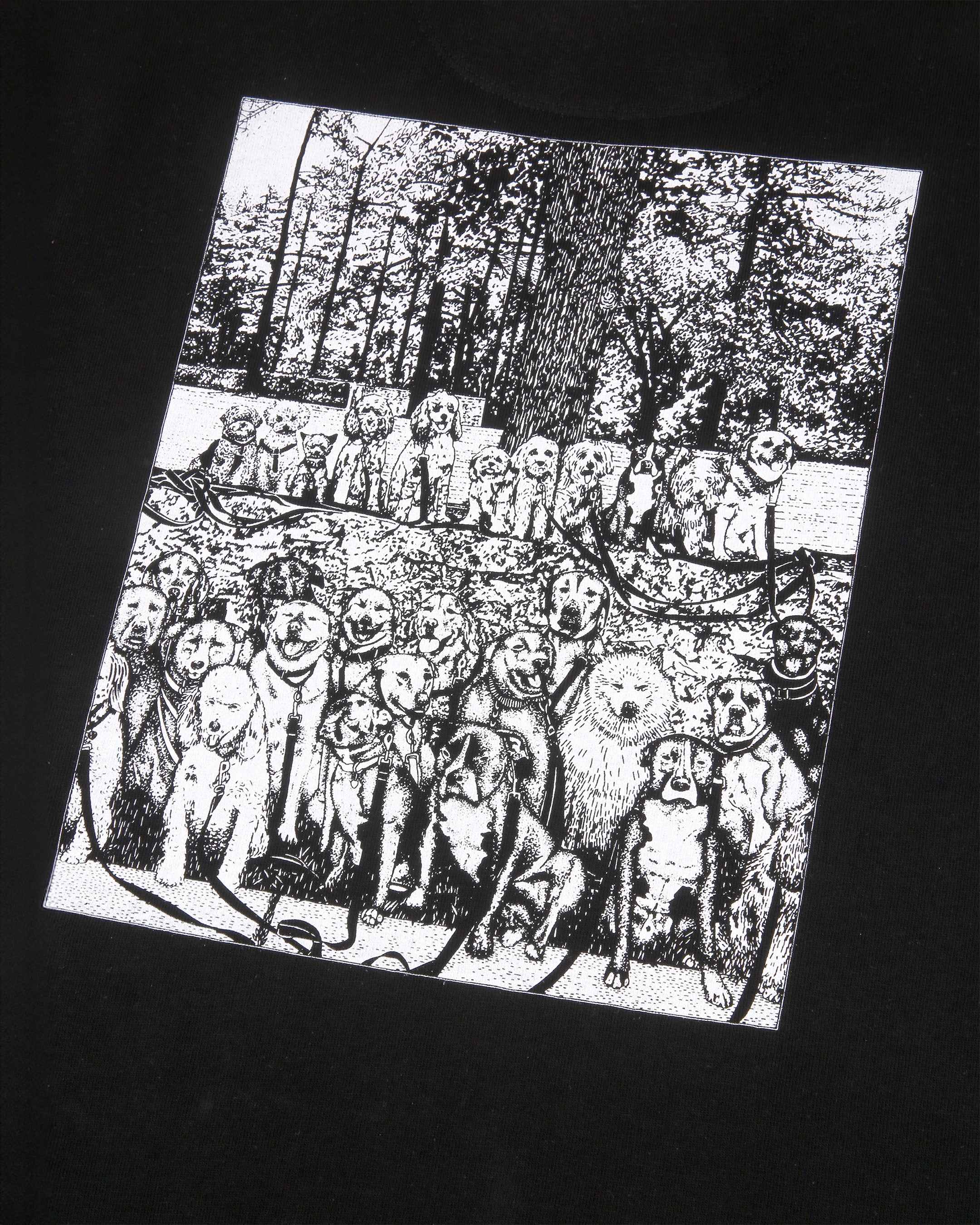 Printed Crewneck Sweatshirt - Image 3